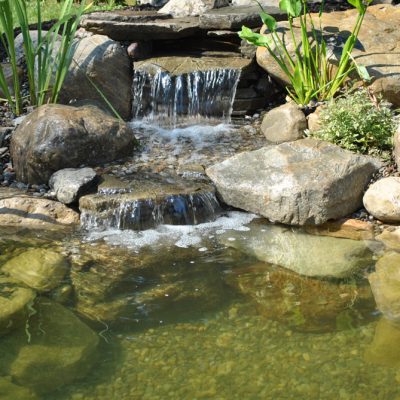 Small backyard pond with rocks, plants, and a short cascading waterfall flowing into clear water.