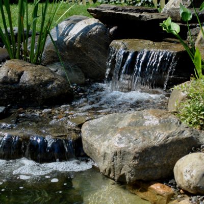 Small waterfall flows over rocks and pebbles into a pond, surrounded by green plants and grass in a garden setting.