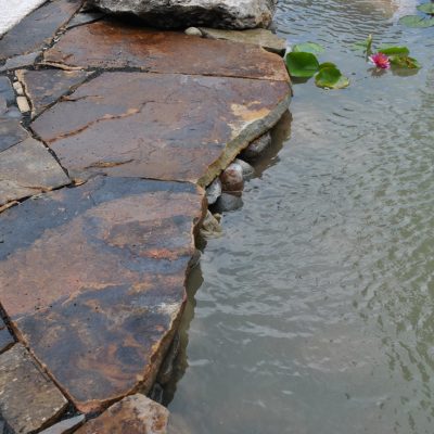 Stone patio edge borders a pond with murky water, rocks, and floating green lily pads with a pink flower.