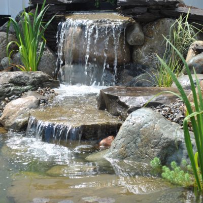 Small waterfall flows over rocks into a pond surrounded by greenery and aquatic plants.