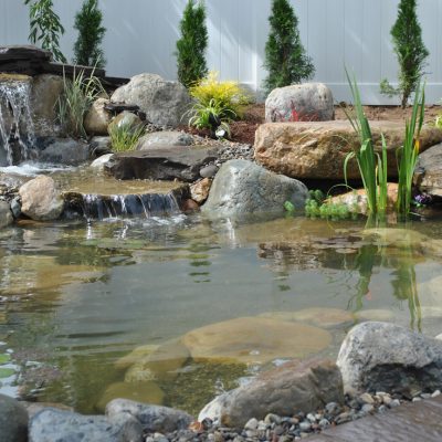 Backyard pond with rocks, plants, and a small waterfall, surrounded by stones and a white fence in the background.