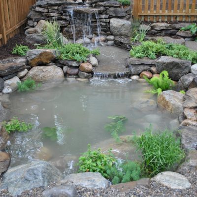 A small backyard pond with rocks, green plants, and a waterfall, surrounded by a wooden fence.