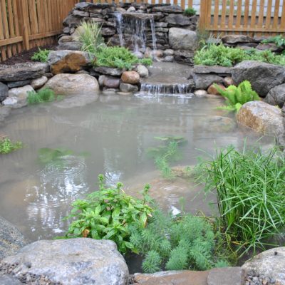 Small backyard pond with clear water, rocks, green plants, and a small waterfall, surrounded by a wooden fence.
