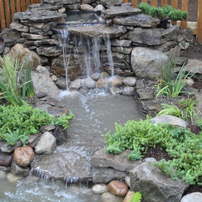 Small backyard pond with a stone waterfall feature, surrounded by rocks, green plants, and a wooden fence.