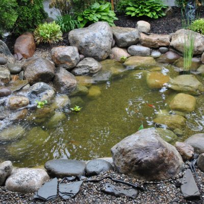 Small backyard pond surrounded by large rocks and plants, with clear water and a few aquatic plants visible.