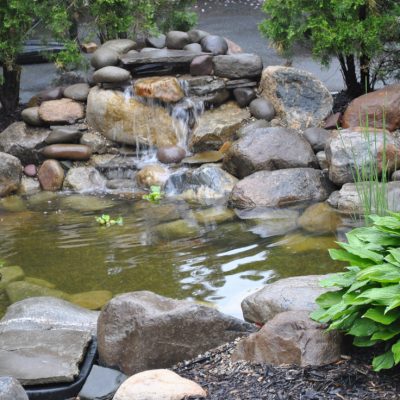 Small backyard pond with a stone waterfall feature, surrounded by rocks, green plants, and shrubs.