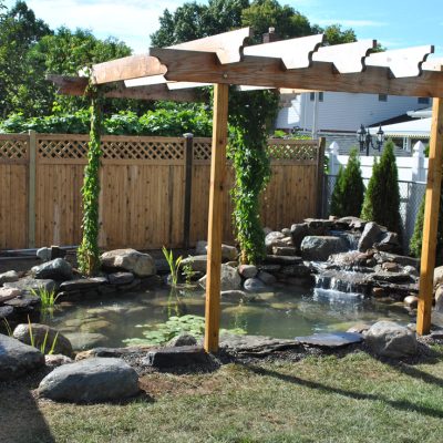 A backyard pond with rocks, aquatic plants, a small waterfall, and a wooden pergola, bordered by a wooden fence.