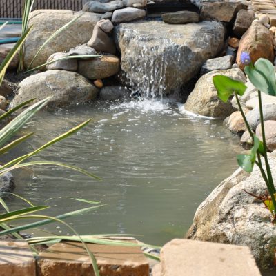 Small backyard pond with a waterfall feature, surrounded by rocks and plants, with clear water flowing into the pool.