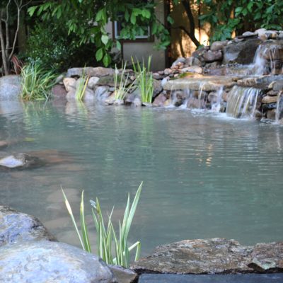 A backyard pond with rocks, plants, and a small waterfall surrounded by greenery.