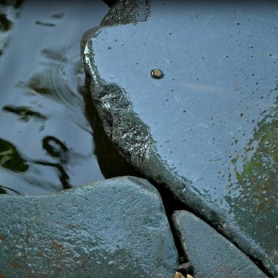 Close-up of three wet, flat gray stones by the edge of water, with reflections visible on the water’s surface.