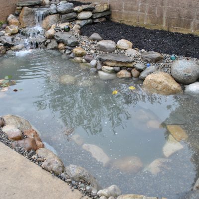 Small backyard pond with rocks, a waterfall feature, and cloudy water, bordered by mulch and a concrete walkway.
