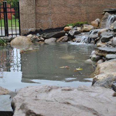 A small pond with rocks, a waterfall feature, and a black metal fence in the background.