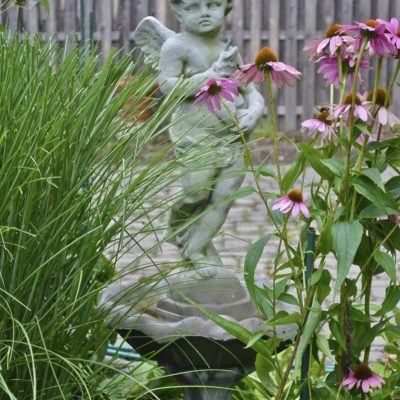 Stone cherub statue stands in a garden surrounded by tall grass and pink coneflowers with a wooden fence in the background.