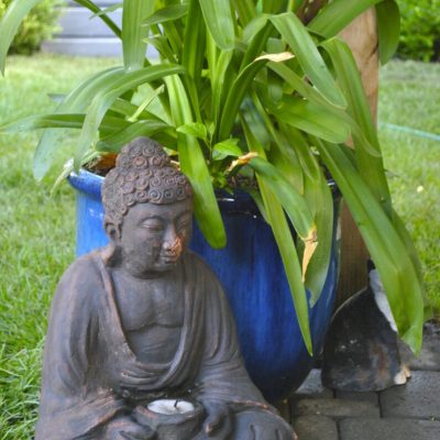 A Buddha statue sits beside a blue potted plant on a stone patio in a garden setting.