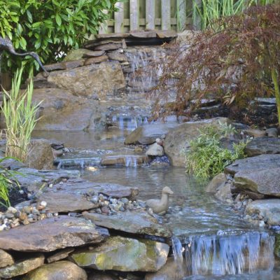 Small backyard pond with a stone waterfall, surrounded by green plants, rocks, and a duck figurine.
