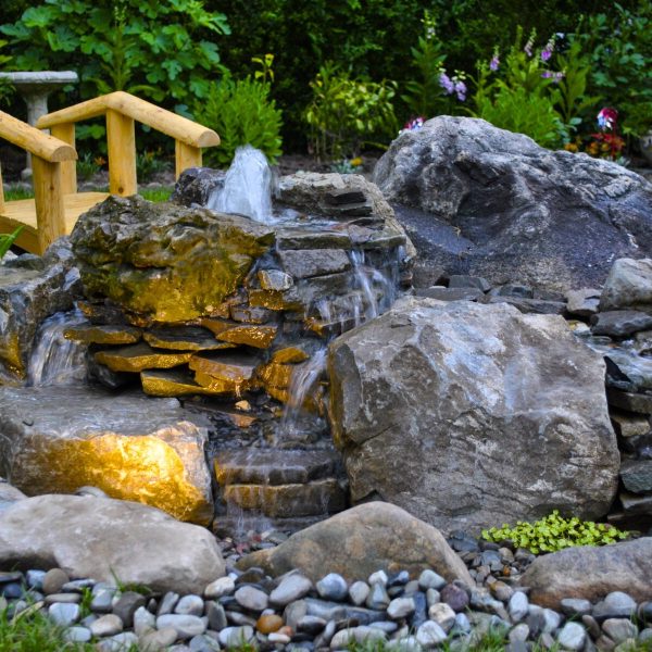 Small backyard pond with waterfall feature, rocks, small wooden bridge, and garden plants in the background.