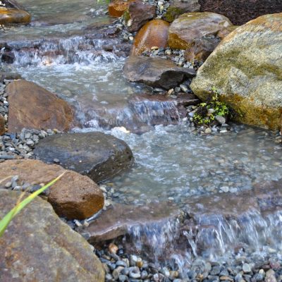 Small stream of water flowing over rocks and gravel, surrounded by large stones and green plants.
