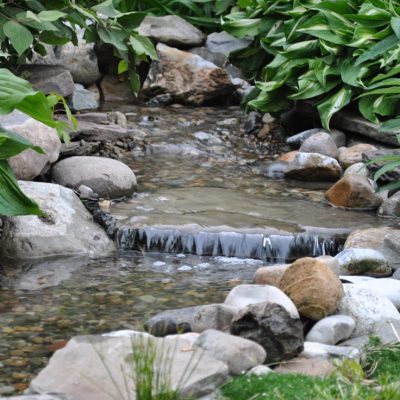 A small stream flows over rocks surrounded by green plants and foliage in a garden setting.