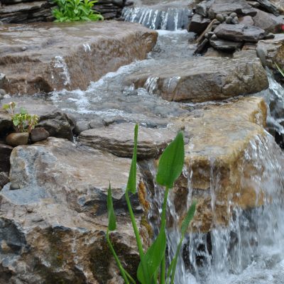 Water cascades over layered rocks in a small garden waterfall, surrounded by plants and smooth stones.