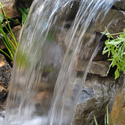 A small waterfall flows over stacked rocks, surrounded by green plants and leaves.