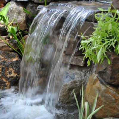 Water flows down a small stone waterfall surrounded by green plants and rocks, creating a bubbling pool below.