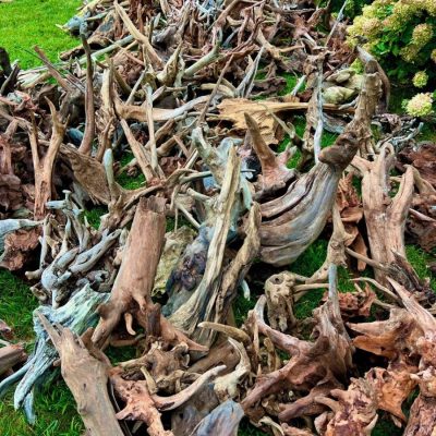 A large pile of weathered driftwood lies scattered on grass near flowering bushes.