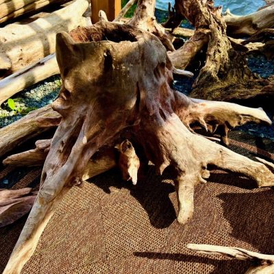 Large piece of weathered driftwood with multiple branches resting on a woven mat outdoors in sunlight.