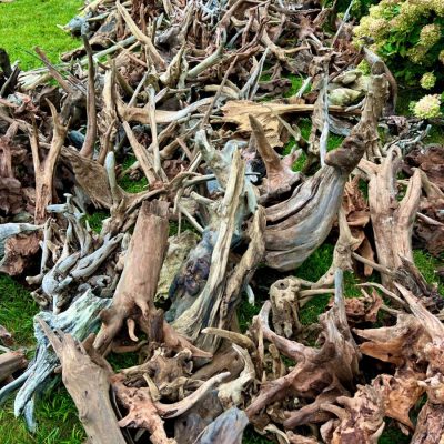 A large pile of weathered driftwood pieces scattered on green grass next to blooming hydrangea bushes.