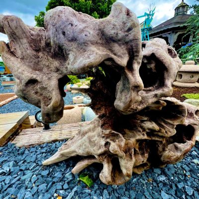 Large, weathered piece of driftwood with irregular holes set on gray gravel outdoors, trees and structures in background.