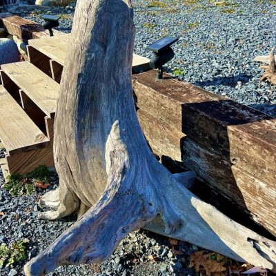 Large weathered tree stump with a protruding root sits on gravel beside wooden steps and a timber retaining wall.