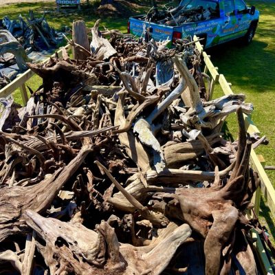 Large pile of driftwood fills a trailer parked near a colorful pickup truck in a rural outdoor setting.