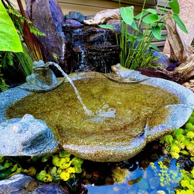 Stone fountain with frog sculptures, gently flowing water, surrounded by green plants in a garden setting.