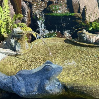 Stone frog statues spout water into a small pond with a waterfall, surrounded by rocks and greenery.