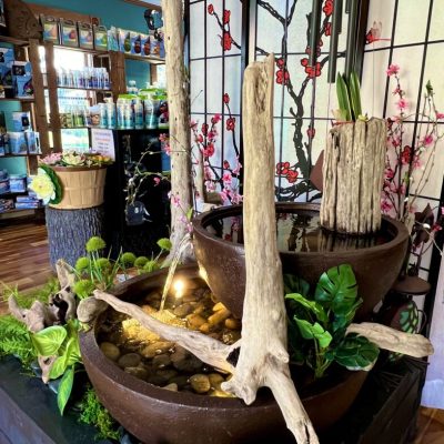 Two large ceramic bowls with water, rocks, and driftwood, surrounded by greenery, in a store with shelves in the background.