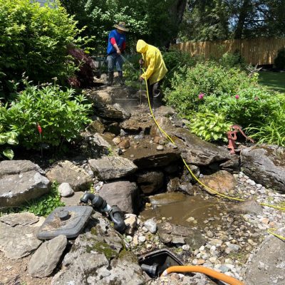 Two people clean a rocky garden stream with hoses and tools on a sunny day, surrounded by green plants and bushes.