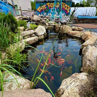Gold Fish Ponds & Water Features in New Jersey at That Pond Place