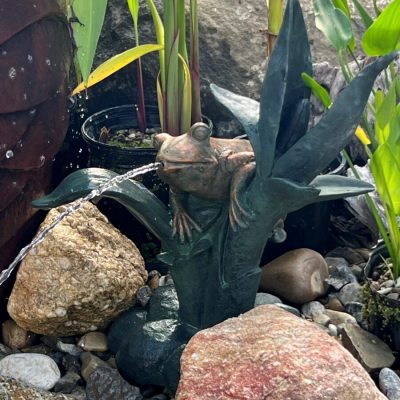 Bronze frog statue fountain spouting water, surrounded by rocks, plants, and tall green leaves.