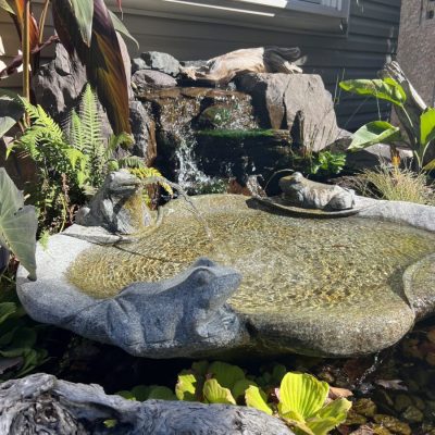 Stone frog statues sit around a small garden pond with a waterfall and surrounding plants in bright sunlight.