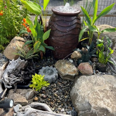 A small garden water feature with a brown fountain, rocks, driftwood, and assorted green plants.