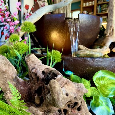 Driftwood, green plants, and a water fountain are arranged indoors near shelves and flowering branches.