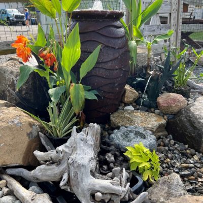 A garden water feature with a textured urn, rocks, driftwood, and various green and orange plants.