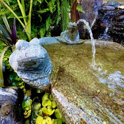 Stone frog fountain with water spout surrounded by green plants and rocks in a garden setting.