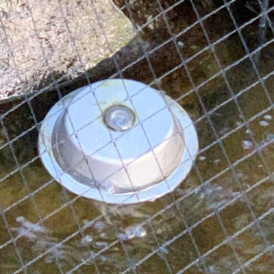 A round white object partially submerged in water under a wire mesh, with a rock visible in the upper left corner.