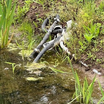 A partially submerged bicycle lies on its side at the edge of a pond surrounded by grass and plants.