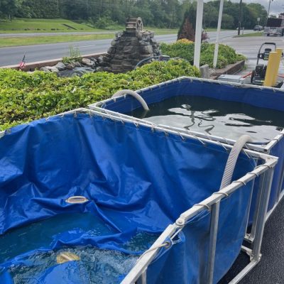 Two large blue portable tanks filled with water are set up on a paved area near a road and landscaping.