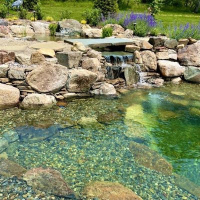 Small stone waterfall flows into clear pond with rocky bottom, surrounded by greenery and purple flowers.