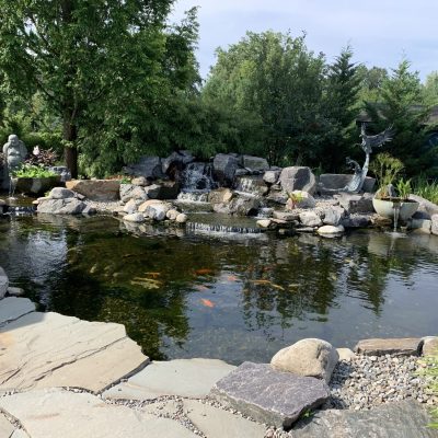 Large koi pond with clear water, stone edging, a small waterfall, and surrounding greenery in a landscaped garden.