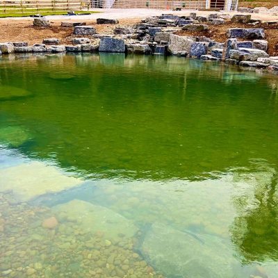 A circular artificial pond with clear green water, stone edging, and visible rocks at the bottom.