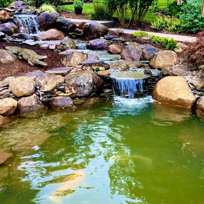 A backyard pond with rocks, small waterfalls, koi fish, plants, and landscaped garden surroundings.