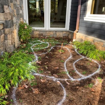 Garden bed outlined with white spray paint on soil next to a house, with plants and fallen leaves scattered around.